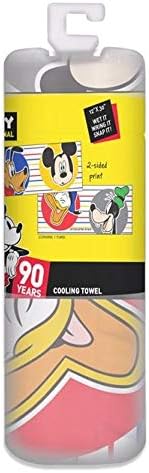 Disney Disney WinCraft Disney Cinderella Magic Begins Within Cooling Towel