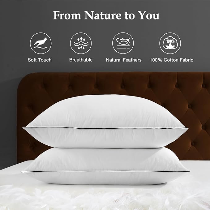 DWR Luxury Goose Feather Down Core Pillow Surrounded by Polyester - Set of 1 - Standard Size(20"x26") - Medium Firm - 100% Organic Cotton Cover