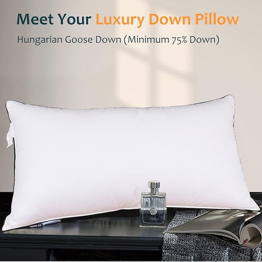 Hungarian Goose Down Pillow Queen Size, Ultimate Comfort 750+ Fill Power, 480 Thread Count 100% Cotton Shell, Luxury Bed Pillows for Sleeping - Queen (20" x 28")
