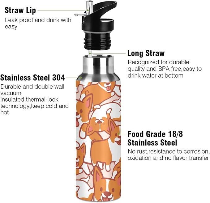 Cute Puppy Corgi Sports Water Bottle, Double Wall Vacuum Insulated Stainless Steel Water Bottle with Straw Keeps Hot and Cold, Bike Running Sports Travel Gym 20oz