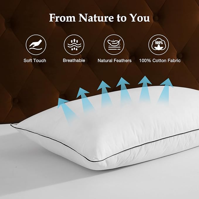 DWR Luxury Goose Feather Down Core Pillows Surrounded by Polyester - Set of 2 - Queen Size(20"x30") - Medium Firm - 100% Organic Cotton Cover