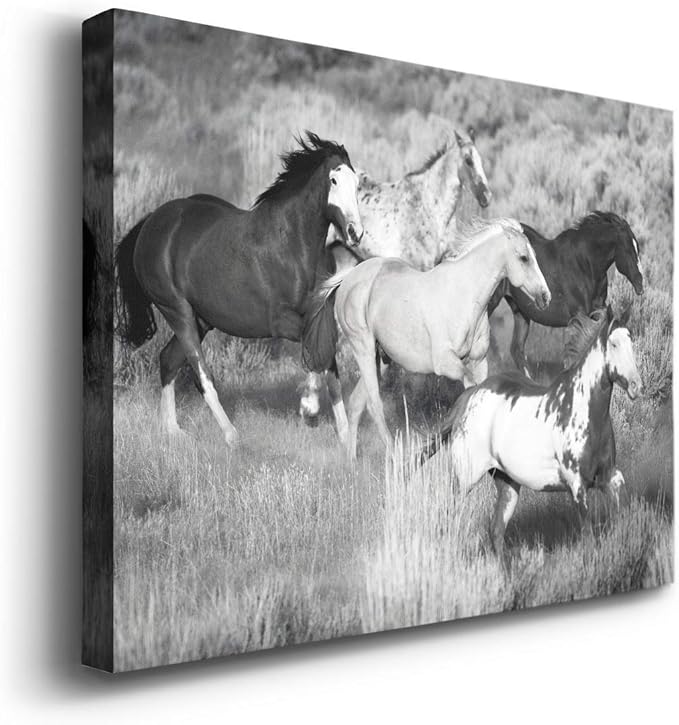 Renditions Gallery Canvas Animal Wall Art Modern Decorations Paintings Running Vintage Horses Black & White Nature Wall Hanging Artwork Prints for Bedroom Office Kitchen - 12"x18" LT33