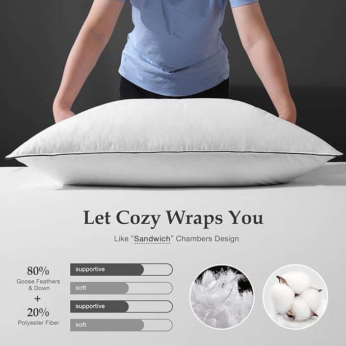 DWR Luxury Goose Feather Down Core Pillow Surrounded by Polyester - Set of 1 - Standard Size(20"x26") - Medium Firm - 100% Organic Cotton Cover