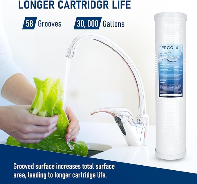 AP810-2 Large Capacity Whole House Replacement Water Filter Drop-in Cartridge, Use with AP802 Systems, 20 X 4.5 Inches (1 Pack)