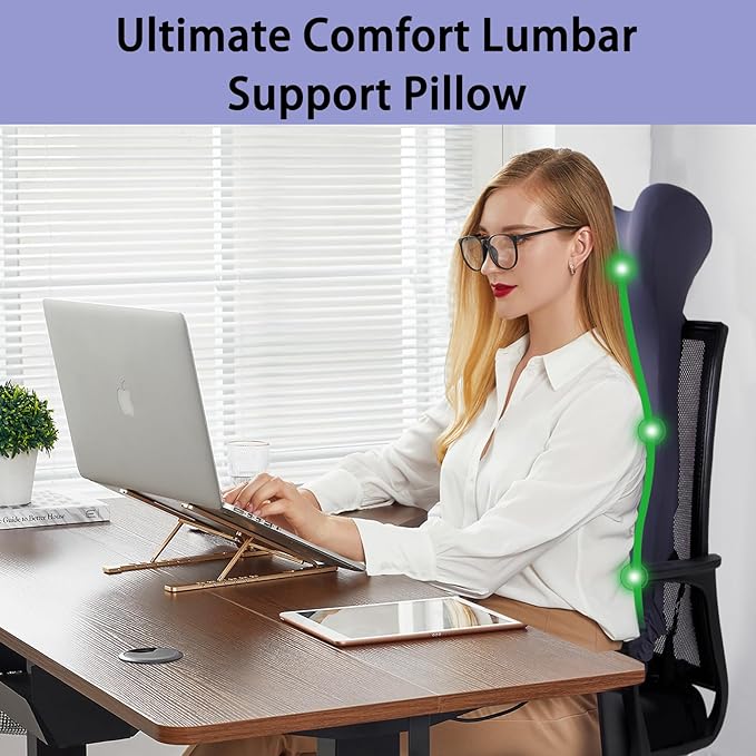 Lumbar Support Pillow for Office Chair - Memory Foam Back Support Pillow with Air Pump for Reducing Lower Back Pain, Adjustable Backrest for Office Chair/Desk Chair, Improve Posture