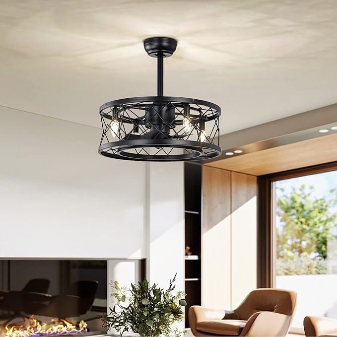 NicBex Ceiling Fan 20 Inch Indoor Modern Ceiling Fan with Lights Ceiling Fans with 5 Blades and Remote Control Small Caged Ceiling Fan for Bedroom, Living Room, Matte Black