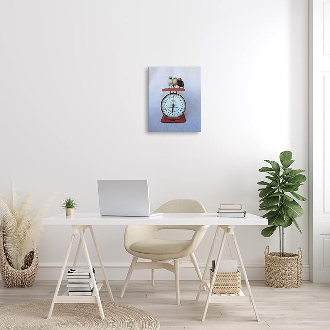 Stupell Industries Country BaBy Chick Birds on Vintage Kitchen Scale Canvas Wall Art, Design By Tania Soderman