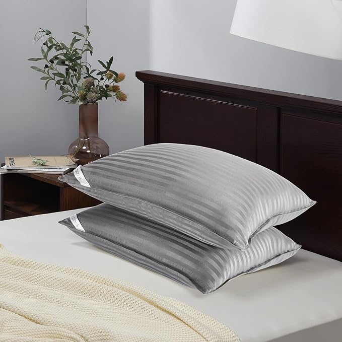 Basic Beyond Queen Size Pillows for Sleeping - Soft Down Alternative Pillows Luxury Hotel Collection Bed Pillows Queen Size Set of 2,Grey,20x28 Inches
