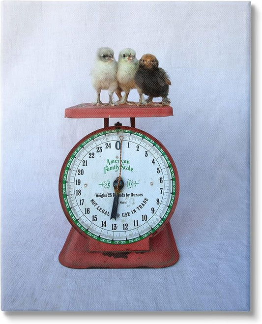 Stupell Industries Country BaBy Chick Birds on Vintage Kitchen Scale Canvas Wall Art, Design By Tania Soderman