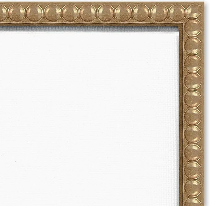 Amanti Art Framed Canvas Wall Art Print (22x22) Singing I by Asia Jensen Float Framed Canvas Art for Wall Decor, Living Room, Bedroom, Bathroom, Kitchen, Office or Business Artwork from WI, USA