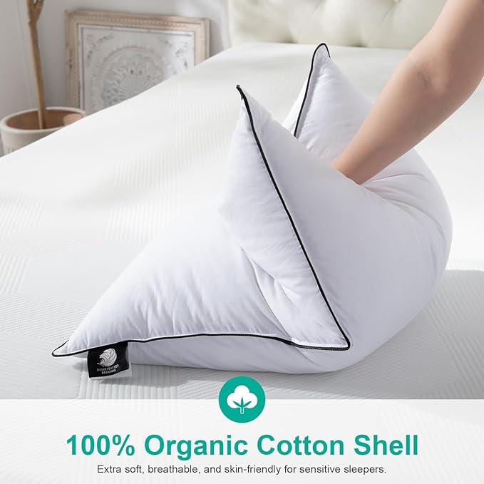 APSMILE Medium Firm Feather Down Pillows Queen Size Pack of 1, Luxury Goose Feather Pillow for Sleeping, 600TC/DM Organic Cotton Cover Hotel Collection Bed Pillows (White, 20"x30")