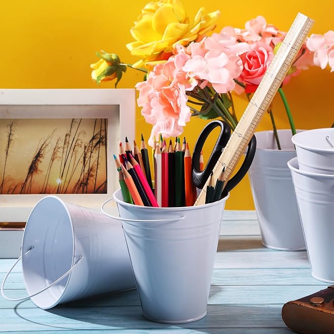 Sadnyy 12 Pack Metal Buckets with Handle, Galvanized Bucket 4.5 x 5 Inch Basket Bucket for Kids, Kids Party Supplies, Crafts for Christmas Halloween Christmas Candy Bars Vase Crafts(White)