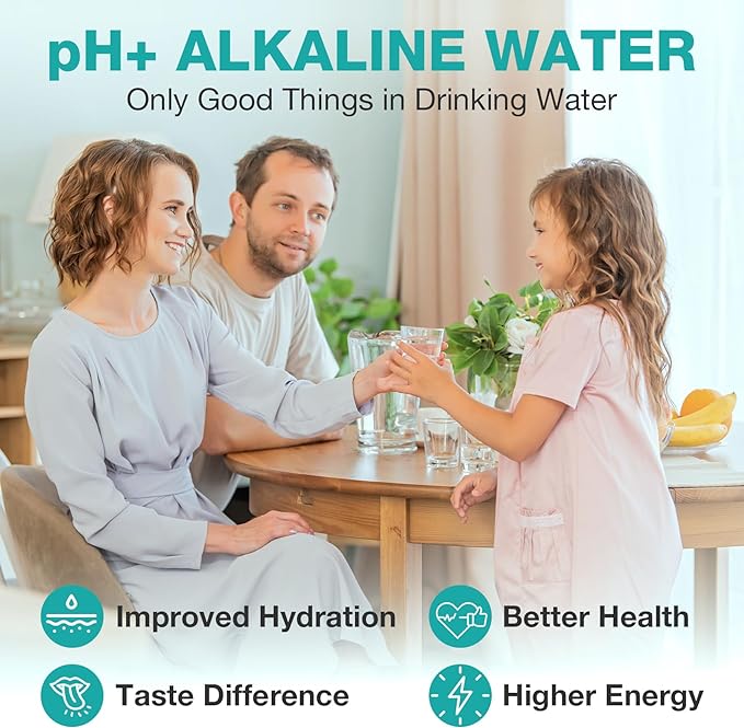 SimPure T1-400ALK ALK Filter Replacement Alkaline Cartridge, 6 Months Replacement Cartridge (1 Pack)