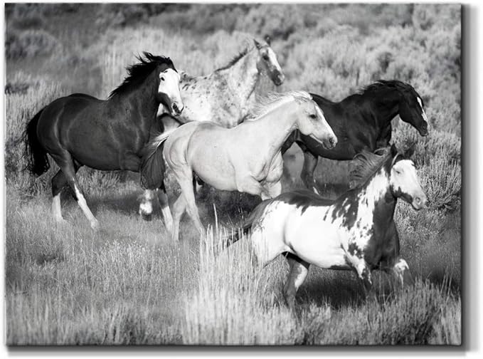 Renditions Gallery Canvas Animal Wall Art Modern Decorations Paintings Running Vintage Horses Black & White Nature Wall Hanging Artwork Prints for Bedroom Office Kitchen - 18"x27" LT33