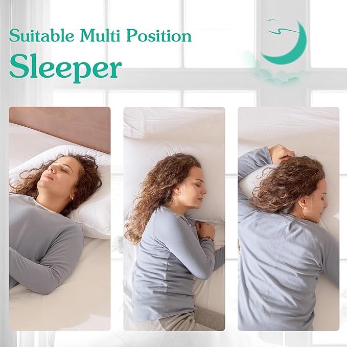 Three Geese White Goose Feather Bed Pillows Standard Size Set of 1- Soft 600 Thread Count 100% Cotton, Medium Firm,Soft Support Surround Fill Polyester (Standard Size:Pack of 1)
