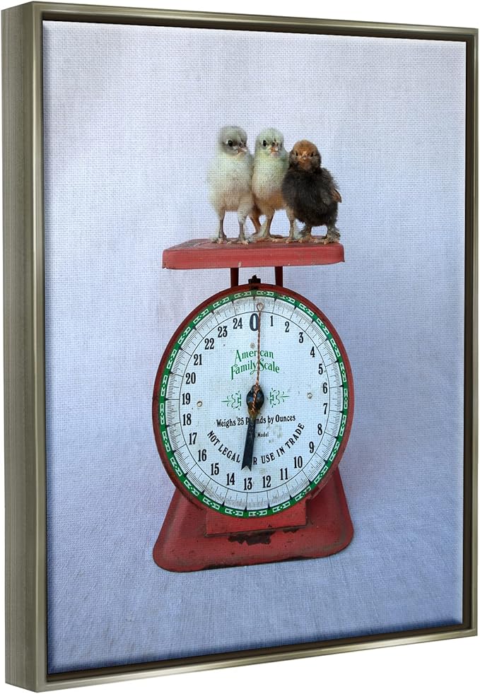 Stupell Industries Country BaBy Chick Birds on Vintage Kitchen Scale Floating Framed Wall Art, Design By Tania Soderman