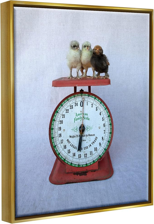 Stupell Industries Country BaBy Chick Birds on Vintage Kitchen Scale Floating Framed Wall Art, Design By Tania Soderman