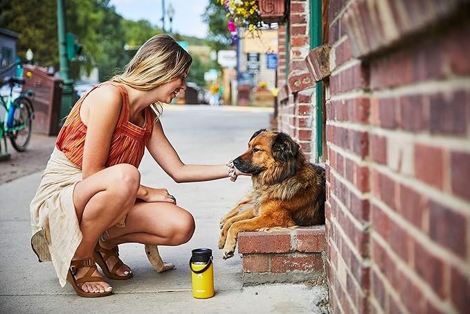 Hydro Flask Stainless Steel Wide Mouth Bottle with Flex Sip Lid and Double-Wall Vacuum Insulation for Coffee, Tea and Drinks