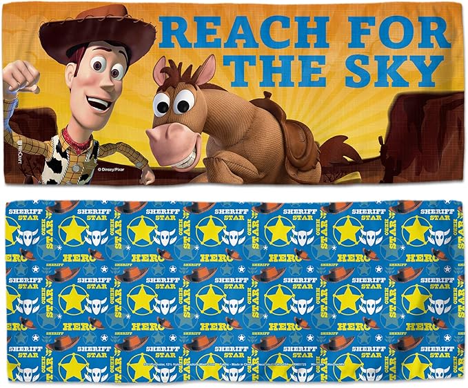 Disney Disney WinCraft Disney Cinderella Magic Begins Within Cooling Towel