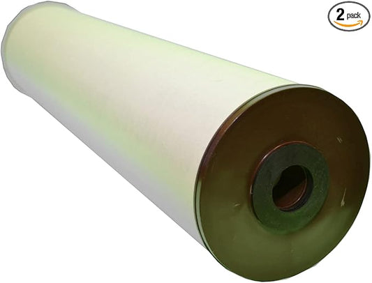 Home Master Cfrffe-20BB-2pk Cfrffe-20BB Replacement Filter, 20x4.5, Pack of 2