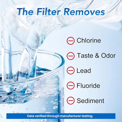 ICEPURE NSF53 6-Stage Pitcher Water Filter Replacement for Zero Pitchers ZR-017, ZR-001, ZR-003, ZR-004, ZR-006, ZR-008, ZR-012, ZR-600,0-TDS 2PACK