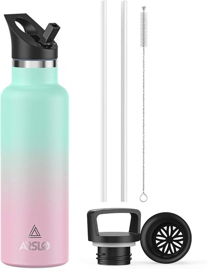 Stainless Steel Water Bottle with Straw - Insulated Water Bottle for Sports, Gym, School, Commute, Adults/Kids - Keep Cold for up to 24 Hours - Sweat/Leak-proof - 2 Lids - BPA Free