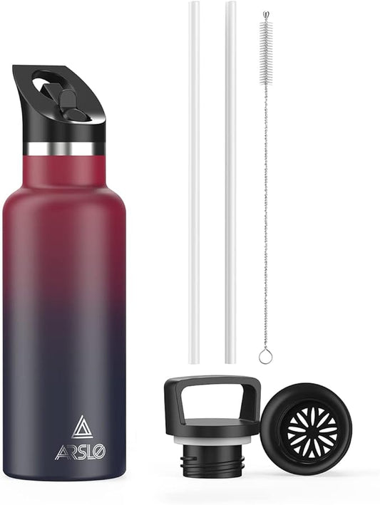 Stainless Steel Water Bottle with Straw - Insulated Water Bottle for Sports, Gym, School, Commute, Adults/Kids - Keep Cold for up to 24 Hours - Sweat/Leak-proof - 2 Lids - BPA Free