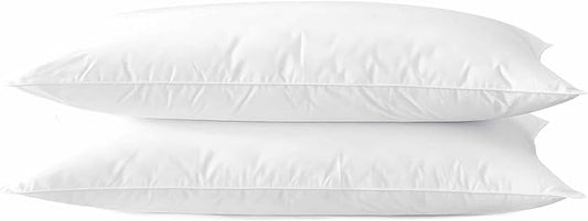 Thin Flat Soft Bed Pillows Queen Size Set of 2 Pack for Sleeping 20"x30", Hypoallergenic Skin Friendly Microfiber Filling Machine Washable