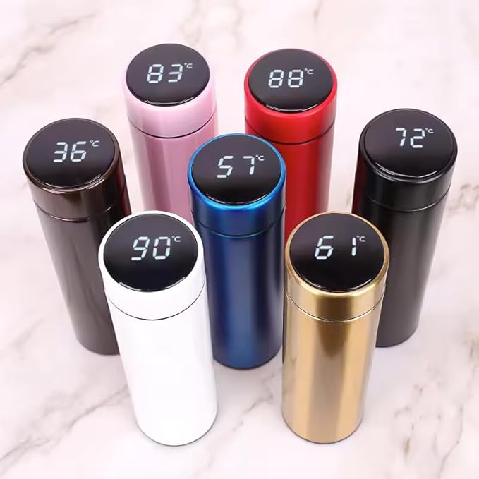 Smart Stainless Steel Water Bottle with LED Temperature Display, 16oz (480ml), Double Wall, Reusable Tumbler (Silver)