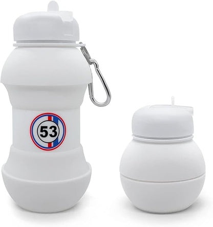 TOTU 20oz Water Bottle BPA Free, for Travel, Sports, Gym, Camping, Hiking, All Essentials