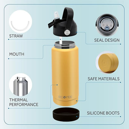 Water Bottles 18oz, Insulated Water Bottle with Straw - Stainless Steel Reusable Metal Water Bottle, Silicone Boot, Carry Handle, Double Wall Vacuum Leak Proof Tumbler for Traveling, Hiking, Gym