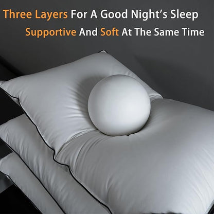 Luxury Hungarian White Goose Down Pillows Queen Size - 550 Fill Power - 460 Thread Count Cotton Blend Shell - Ultra Soft and Comfortable Sleep Pillows - 2 Pack (20" x 28")