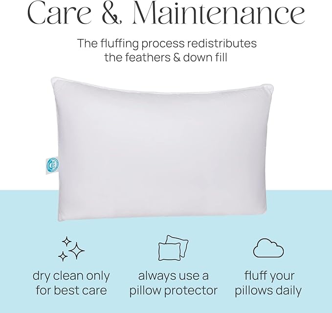 East Coast Bedding Pure Dream Firm Pillow Queen Pillow Medium Support, Queen Size 20x30 Inch Goose Feather Down Pillows, 100% Cotton Shell Pack of 1
