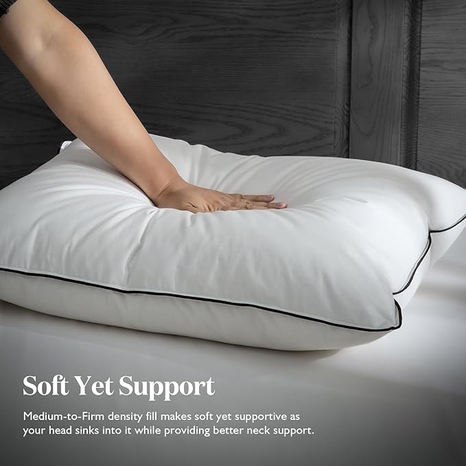 BPC Luxury Feather Down Pillow Queen Size Set of 2 - Medium-Firm Feather Pillow, 3-Chamber Bed Pillow Inserts with Organic Cotton Cover, Surrounded by Polyester, 20x30 Inches