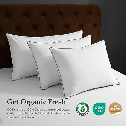 DWR Luxury Goose Feather Down Core Pillow Surrounded by Polyester - Set of 1 - Standard Size(20"x26") - Medium Firm - 100% Organic Cotton Cover