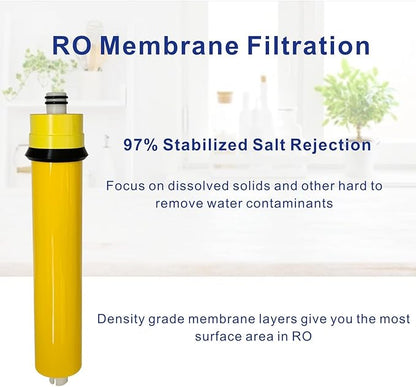 24GPD Membrane Element Filters Compatible With Watts Premier WP560014 RO Water Filter Membrane Replacement, pack of 1