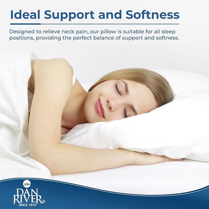 DAN RIVER Double Needle Pillows Queen (20x28), Set of 2 | White Hotel Pillows | Cooling Pillow for Side Sleepers | Back Sleeper Pillows | Best Pillows for Sleeping | Dorm Room Essentials