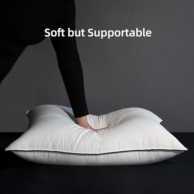 MAXICOZY Hungarian Goose Down Pillow Standard Size, 3-Chamber Bed Pillows Standard Size Pillow, White Hotel Pillows for Sleeping, 460TC Soft Cotton Blend Shell- Standard (20" x 26"), 1 Pack