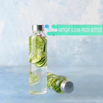Glass Water Bottles,16 oz Clear Glass Bottles with Lids,Reusable Juice Bottles with Stainless Steel Cap,Portable Drinking Bottles for Soda Water,Kombucha