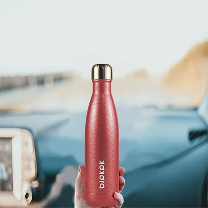 BJPKPK Insulated Water Bottles 17oz, Leak Proof Stainless Steel Water Bottle Keeps Cold for 24H and Hot for 12H, BPA Free Water Bottle,Silver