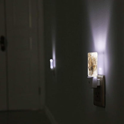 Funny Butterfly Plug in Night Light Plug into Wall LED Nightlight Auto Sensor Dusk to Dawn lamp for Girls Kids Room Bedroom Bathroom Nursery Kitchen Hallway Stairs