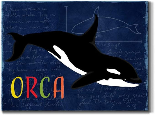 Renditions Gallery Canvas Animal Wall Art Modern Decorations Paintings Colorful Playful Orca Abstract Black & White Vibrant Artwork Canvas Prints for Kids Bedroom Nursery - 8"x12" LT33