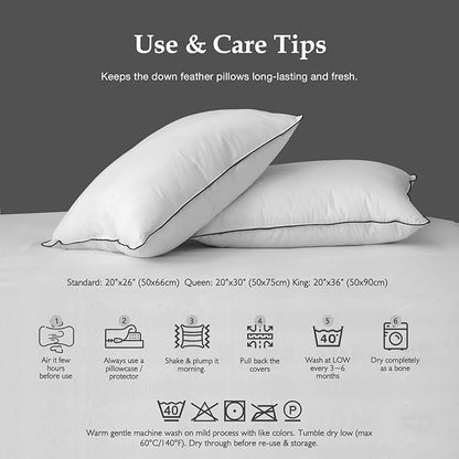 DWR Luxury Goose Feather Down Core Pillow Surrounded by Polyester - Set of 1 - Standard Size(20"x26") - Medium Firm - 100% Organic Cotton Cover