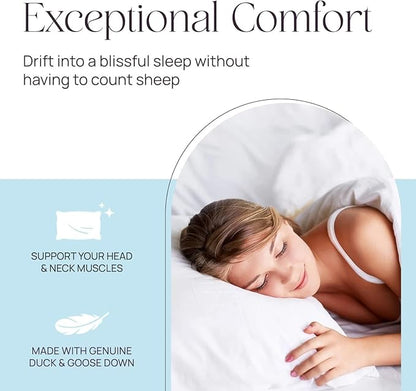 East Coast Bedding Standard Pillow Cozy Dream Firm Pillow, Medium Support Hotel Pillow, Standard Size 20x26 Inch Goose Feather Down Pillows, Pack of 1