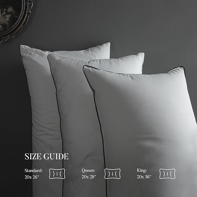 MAXICOZY Hungarian Goose Down Pillow Standard Size, 3-Chamber Bed Pillows Standard Size Pillow, White Hotel Pillows for Sleeping, 460TC Soft Cotton Blend Shell- Standard (20" x 26"), 1 Pack