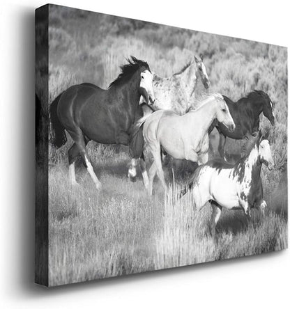 Renditions Gallery Canvas Animal Wall Art Modern Decorations Paintings Running Vintage Horses Black & White Nature Wall Hanging Artwork Prints for Bedroom Office Kitchen - 12"x18" LT33