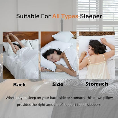 Luxury All Hungarian Goose Down Pillows Queen Size, Soft and Support Down Bed Pillow for Back,Side,Stomach Sleepers, 480 Thread Count 100% Cotton Shell, Queen Size Soft Pillow 1 Pack 20"x28"
