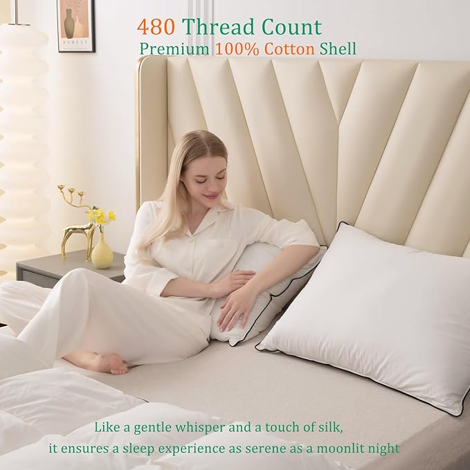 Luxury White Goose Down Pillows Queen Size - 750 Fill Power - 500 Thread Count 100% Cotton Shell - Soft and Support Down Bed Pillow for Back, Side, Stomach Sleepers - Pack of 2 (20 x 28”)