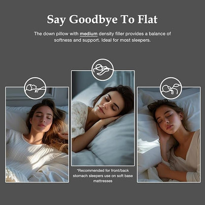 DWR Luxury Goose Feather Down Core Pillow Surrounded by Polyester - Set of 1 - Standard Size(20"x26") - Medium Firm - 100% Organic Cotton Cover
