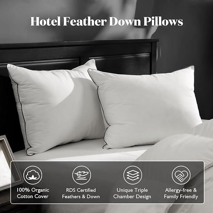 BPC Luxury Feather Down Pillow Queen Size Set of 2 - Medium-Firm Feather Pillow, 3-Chamber Bed Pillow Inserts with Organic Cotton Cover, Surrounded by Polyester, 20x30 Inches